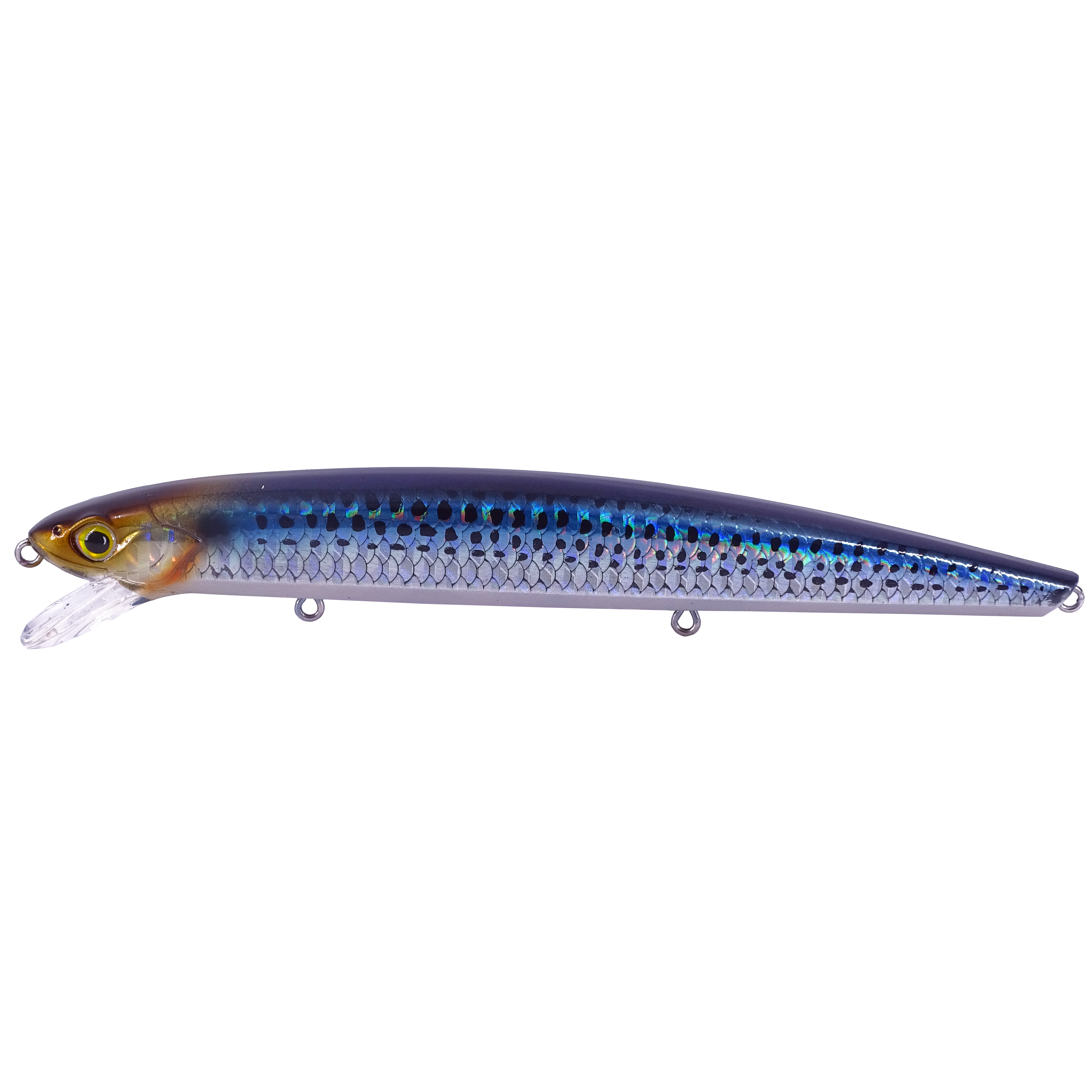 GOLDEN MINNOW 145F